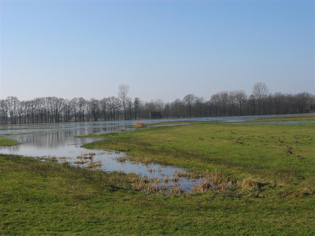 Feuchtgebiet Saerbeck © Biologische Station Steinfurt e.V.