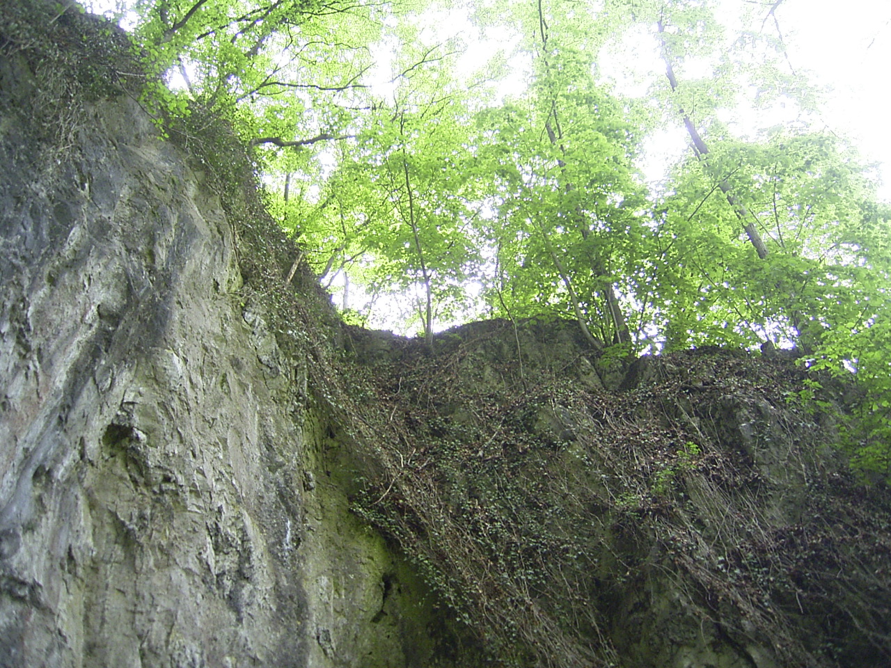 Eindrucksvolle Landschaft © Biologische Station Hagen