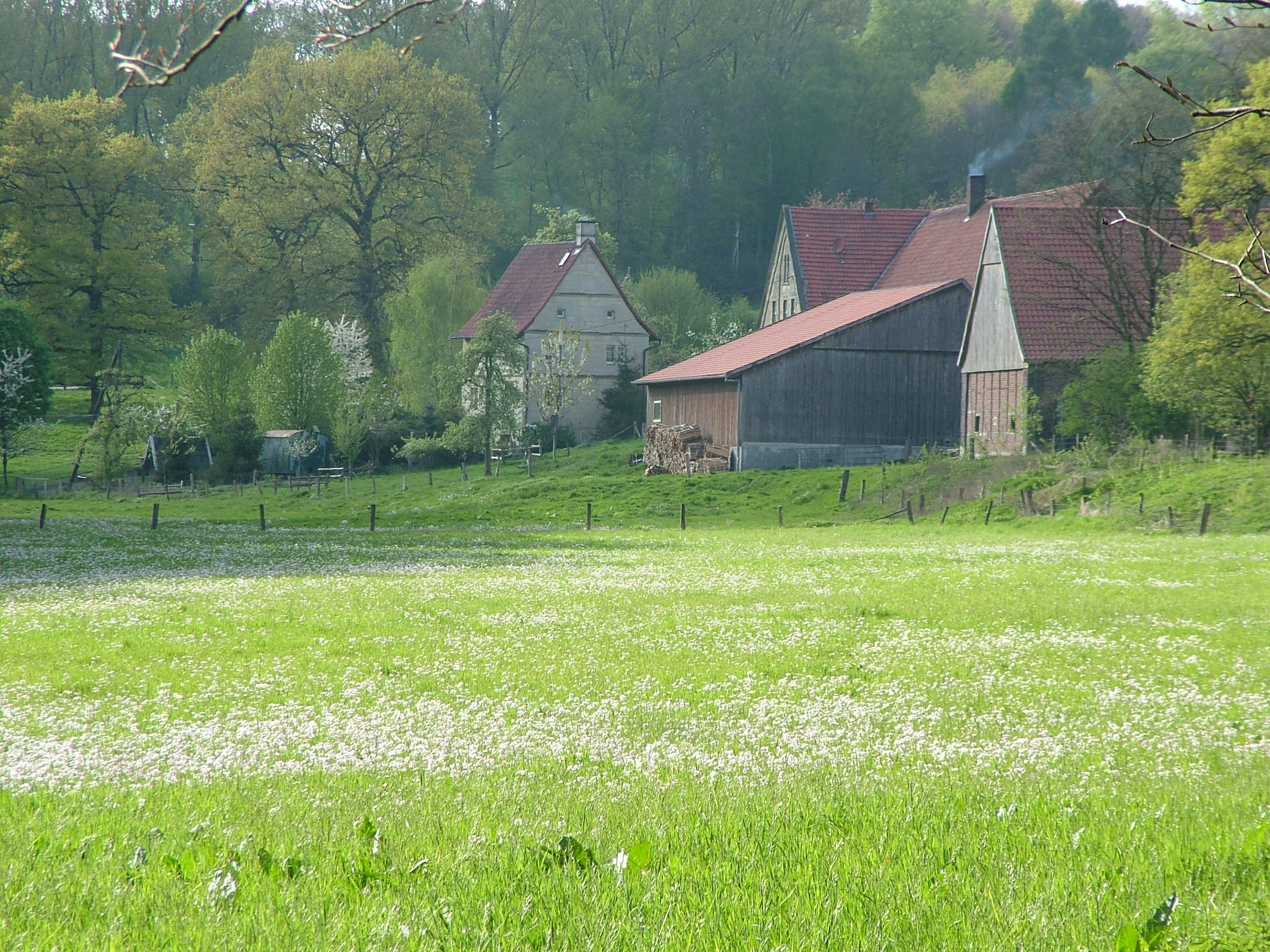 Alte Hoflage im nahe gelegenen Stevertal © Birgit Stephan