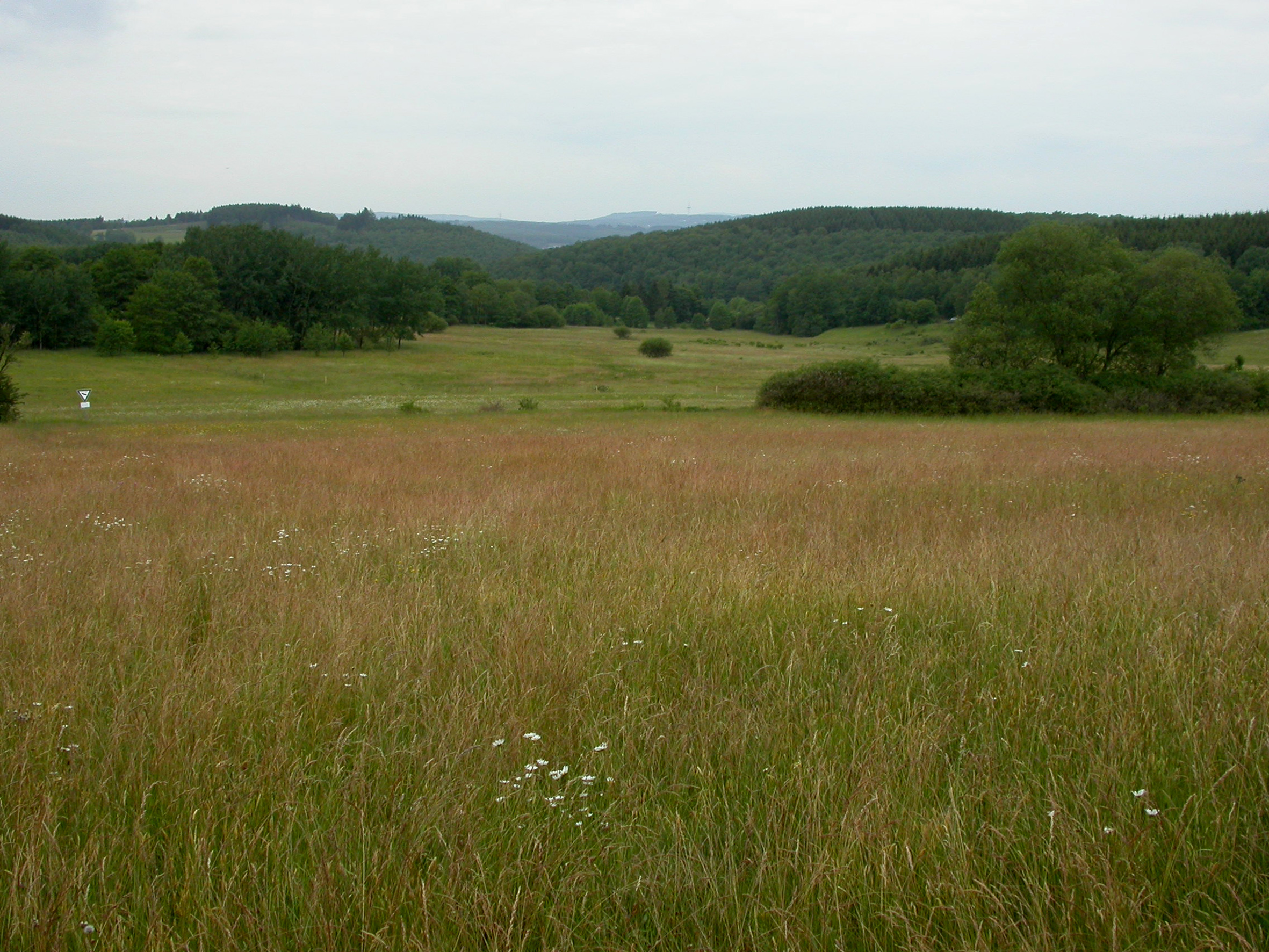 Blick über das Gebiet © Ursula Siebel