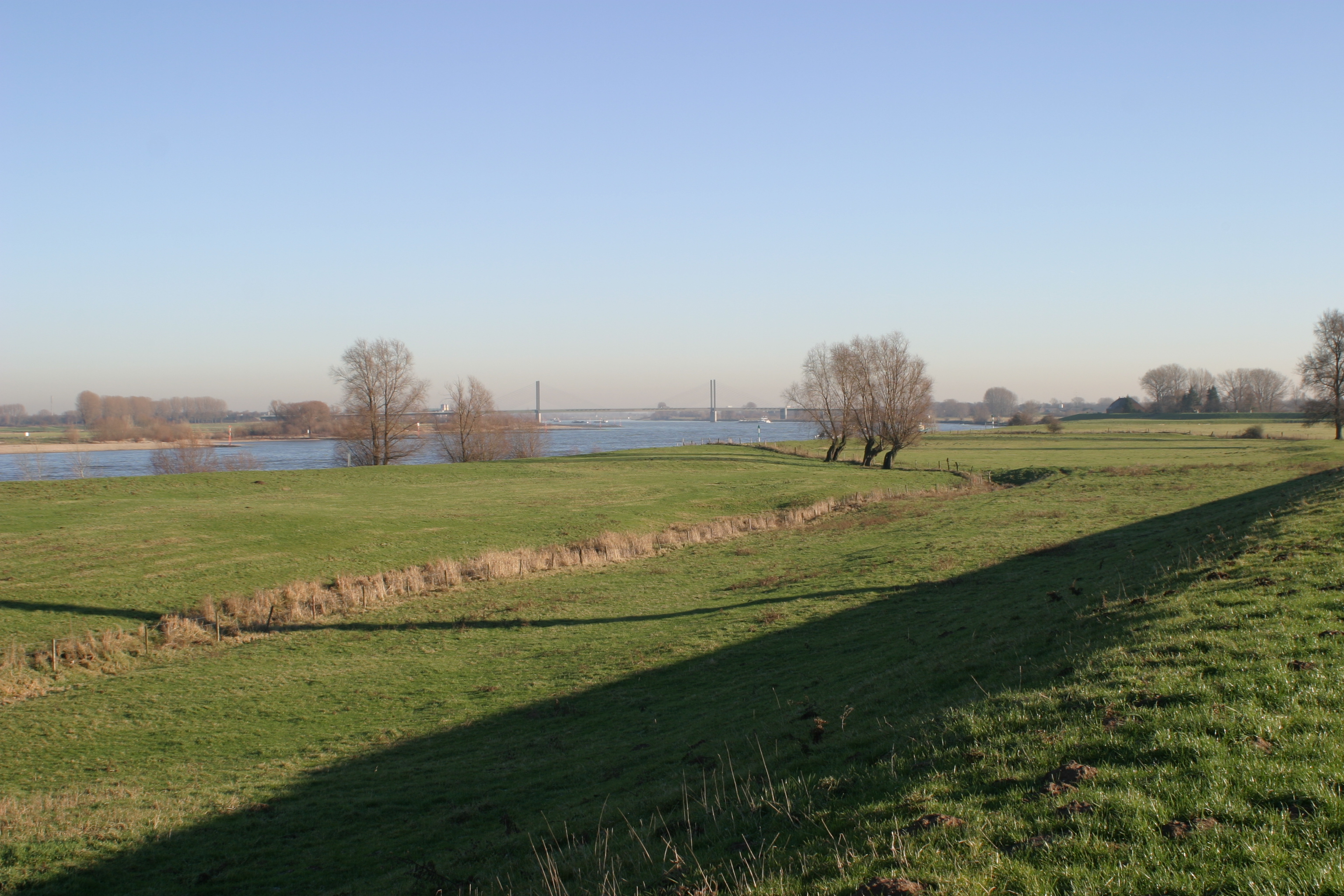 Weites Deichvorland Grieth © Naturschutzzentrum im Kreis Kleve e.V.