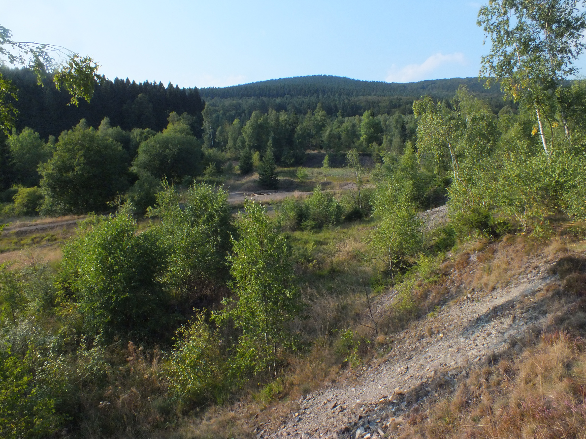 Blick ueber das Haldengelaende im unteren, westlichen Teil © Biologische Station Siegen-Wittgenstein