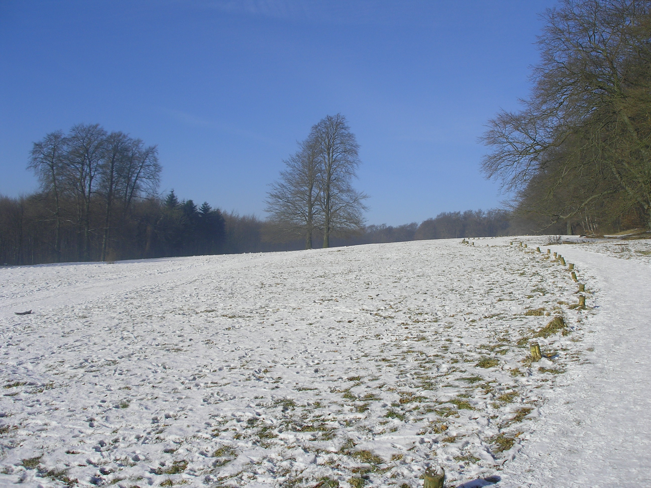 Ochsenheide im Winter © Biologische Station Gütersloh-Bielefeld