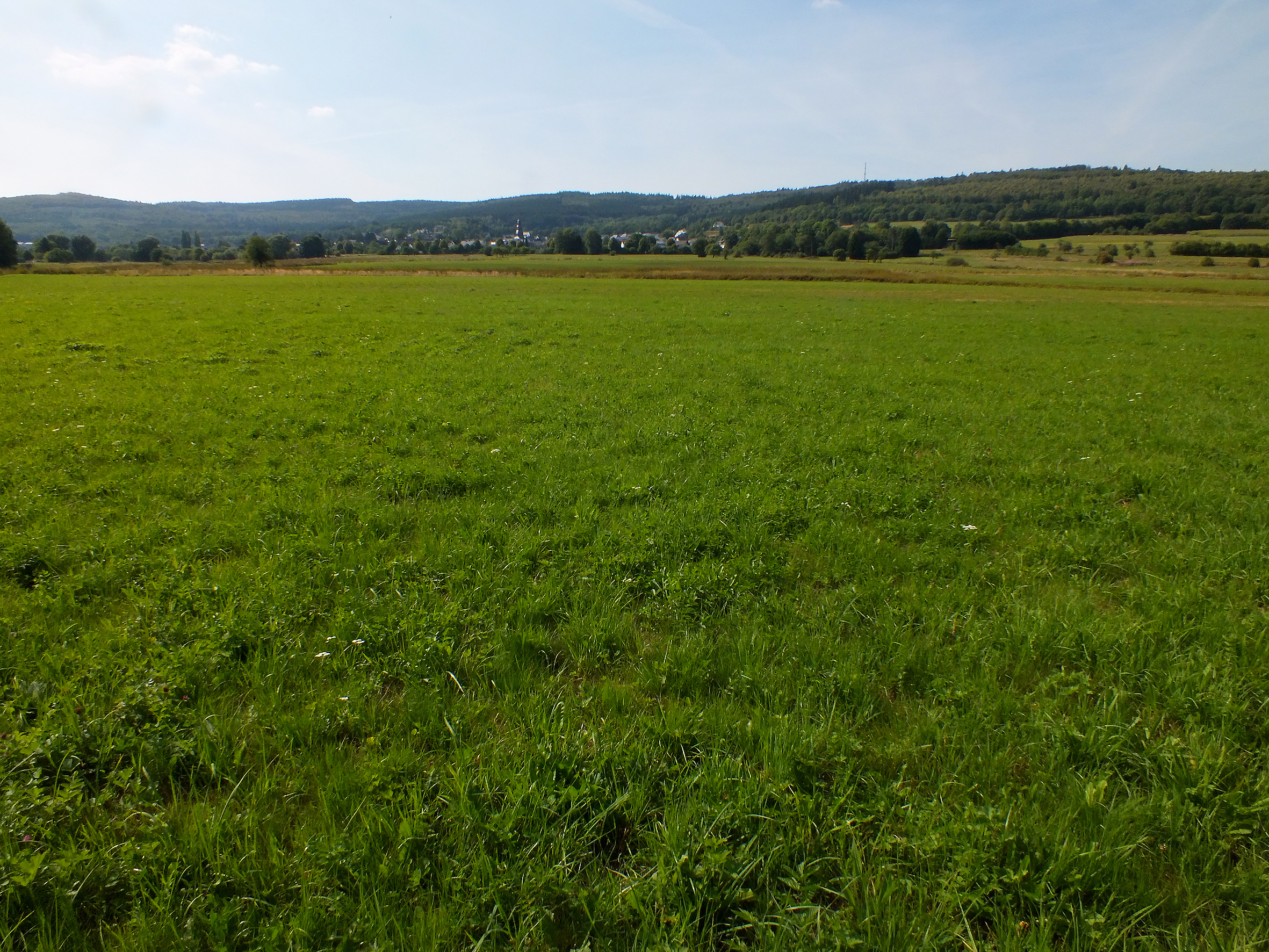 Wetterbachtal © Ursula Siebel