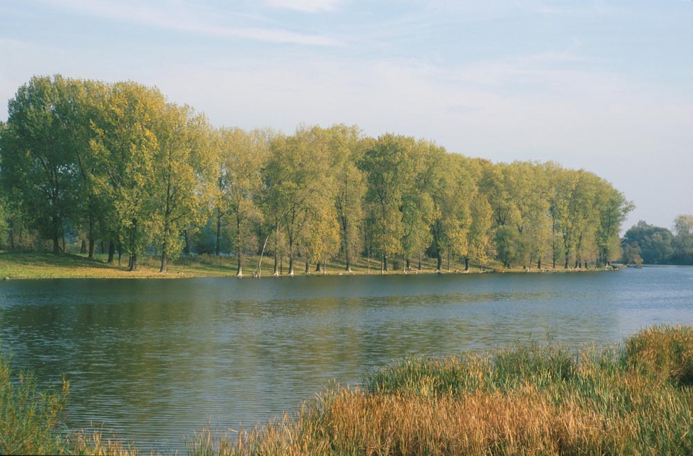 Altrhein Bislicher Insel © Biologische Station im Kreis Wesel e.V.