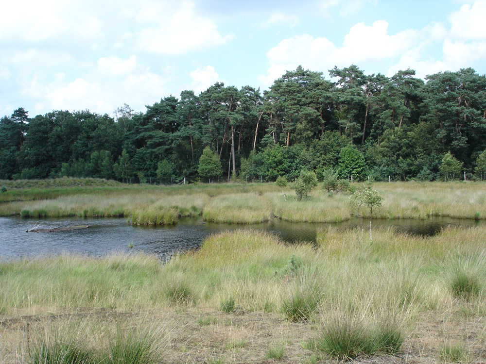 Großes Veen © Biologische Station im Kreis Wesel e.V.