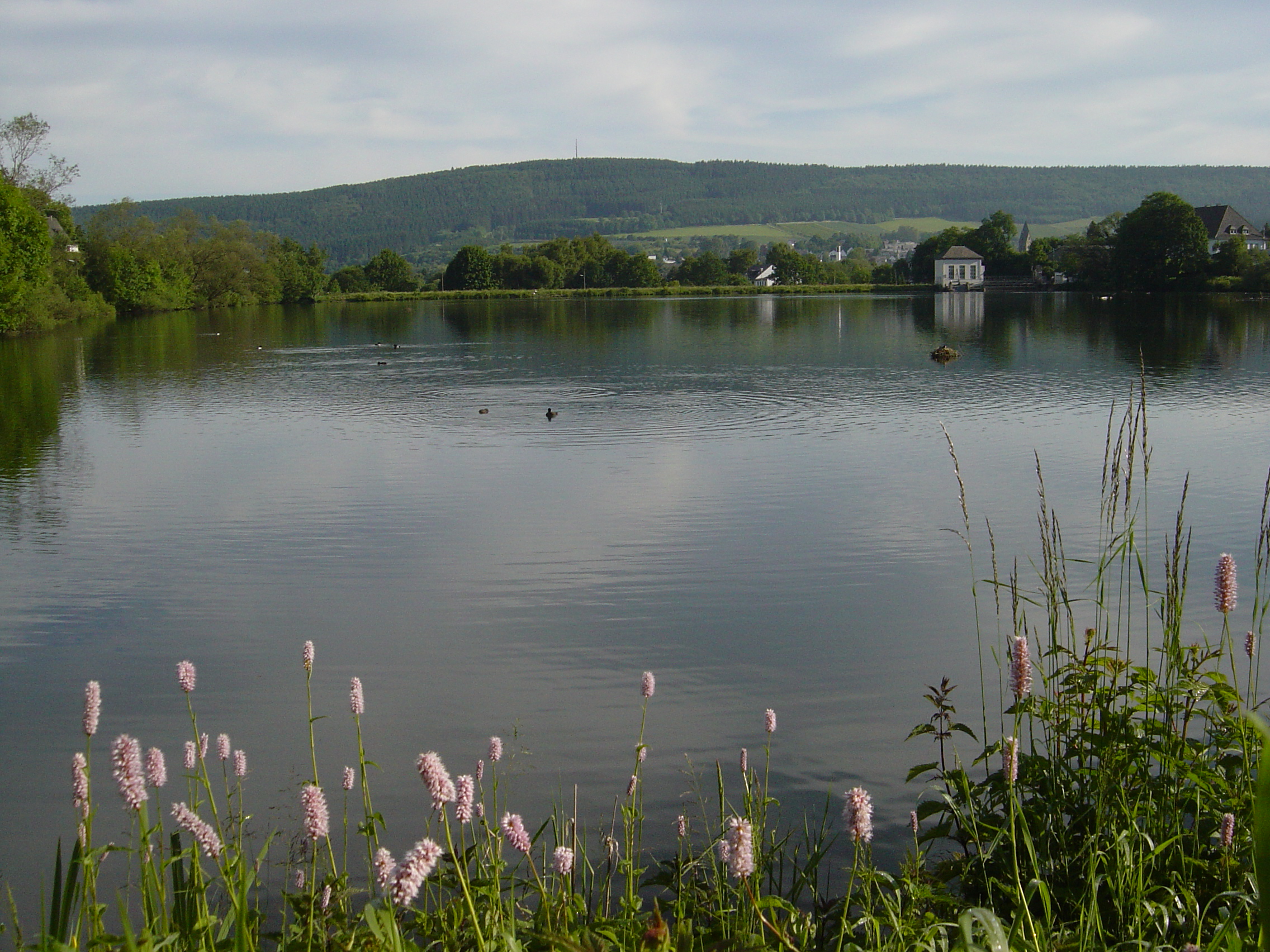 Ruhrstausee bei Olsberg © Werner Schubert