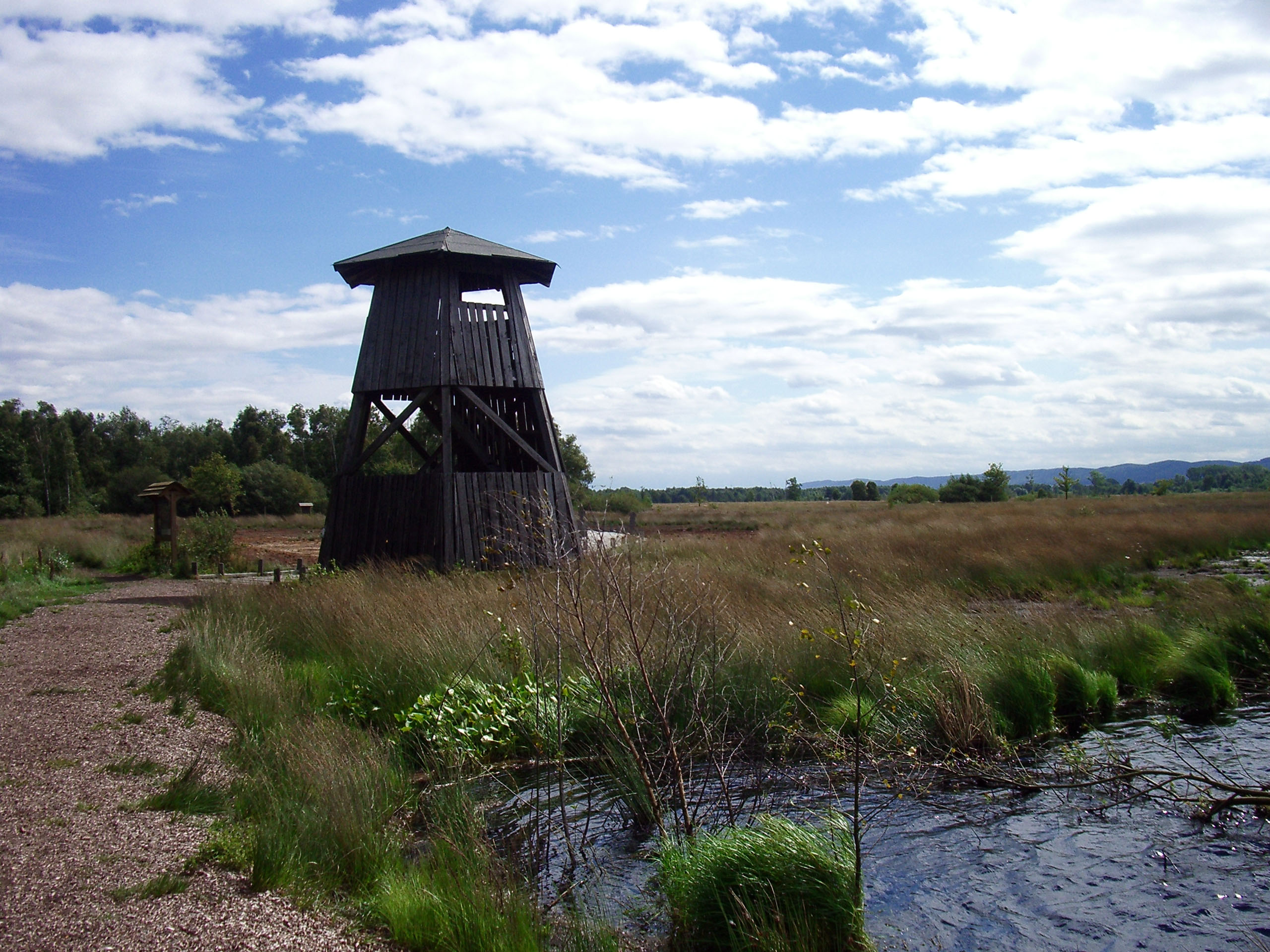 Aussichtsturm © Thorsten Wiegers