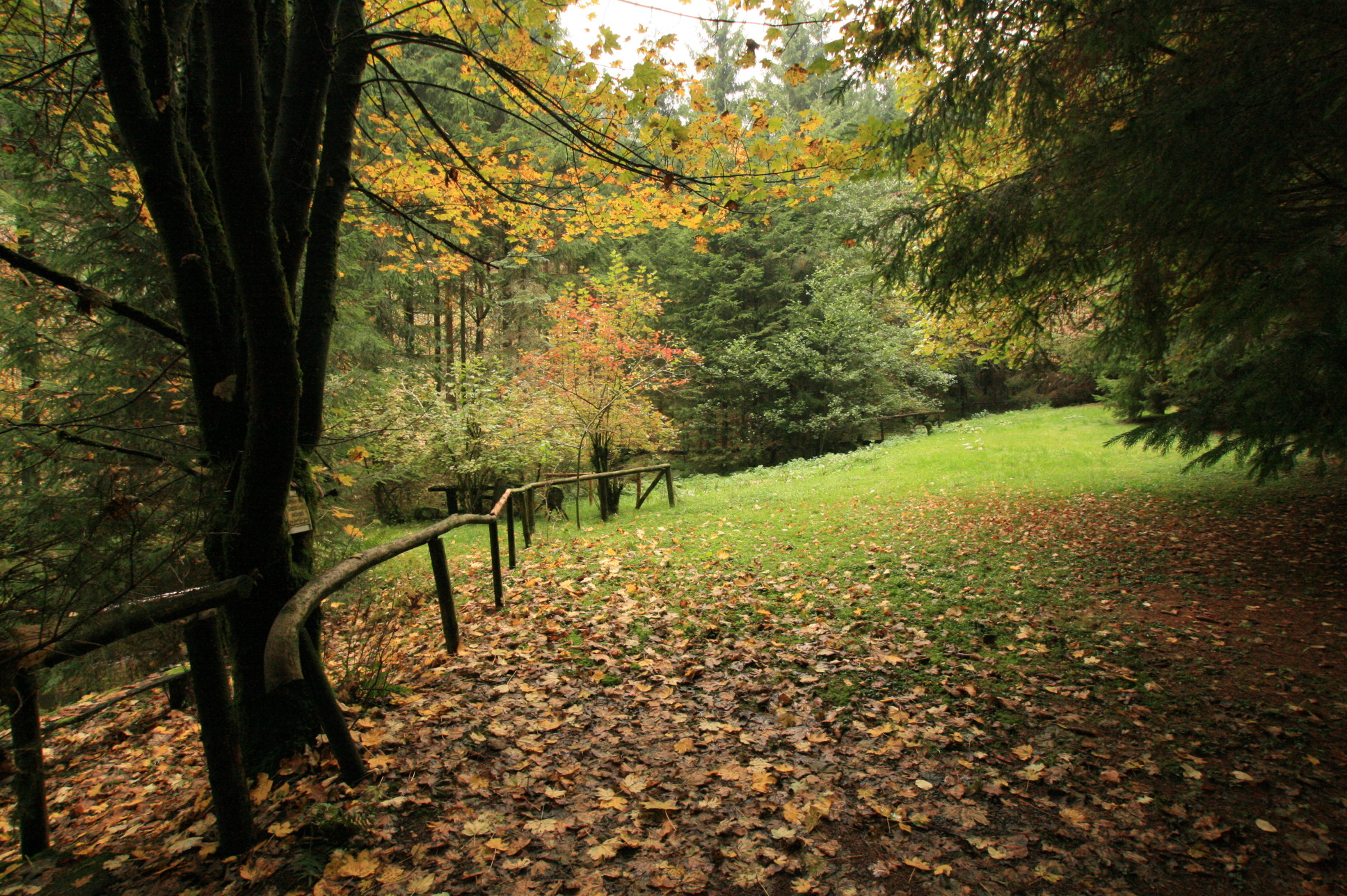 Wege durch den Wald © Regionalforstamt Siegen-Wittgenstein