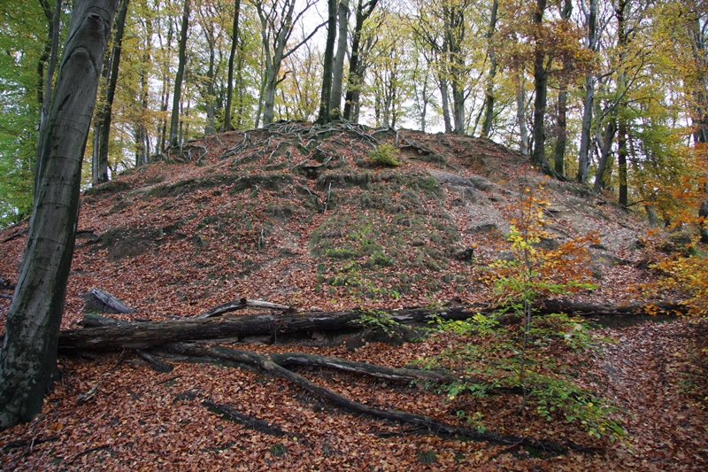 Helpensteiner Bachtal © Lars Delling