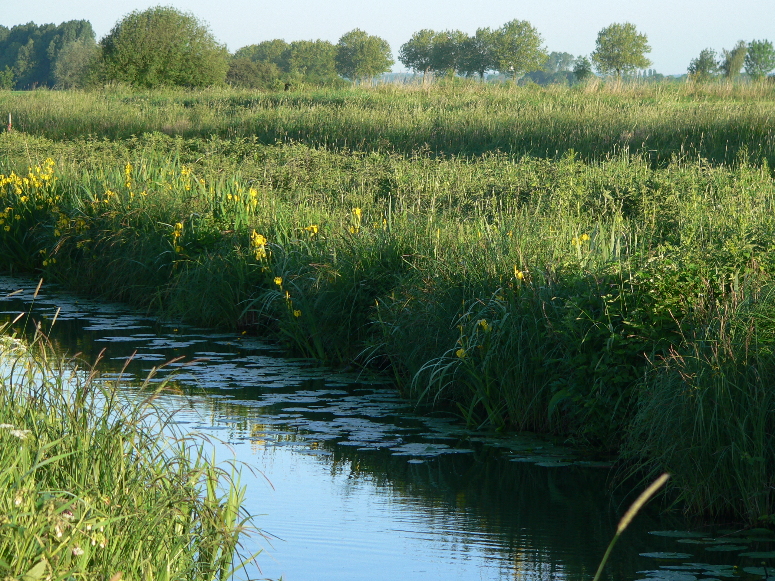 Wasserweg © Daniel Doer