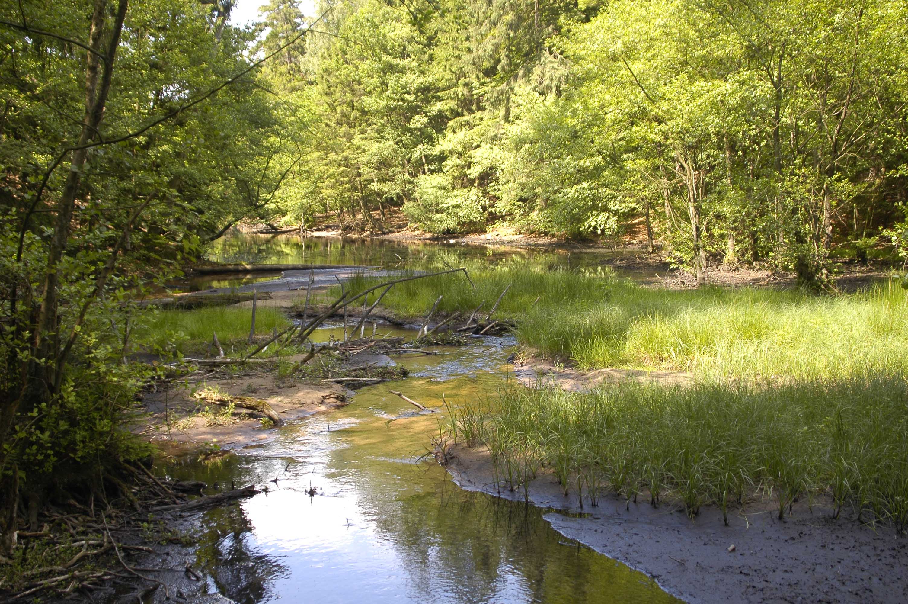 Hasselbachtal © H. Sonnenburg