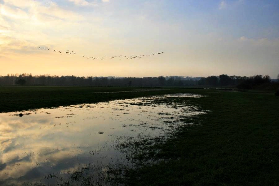 Mendener Aue bei Hochwasser © Corinne Buch