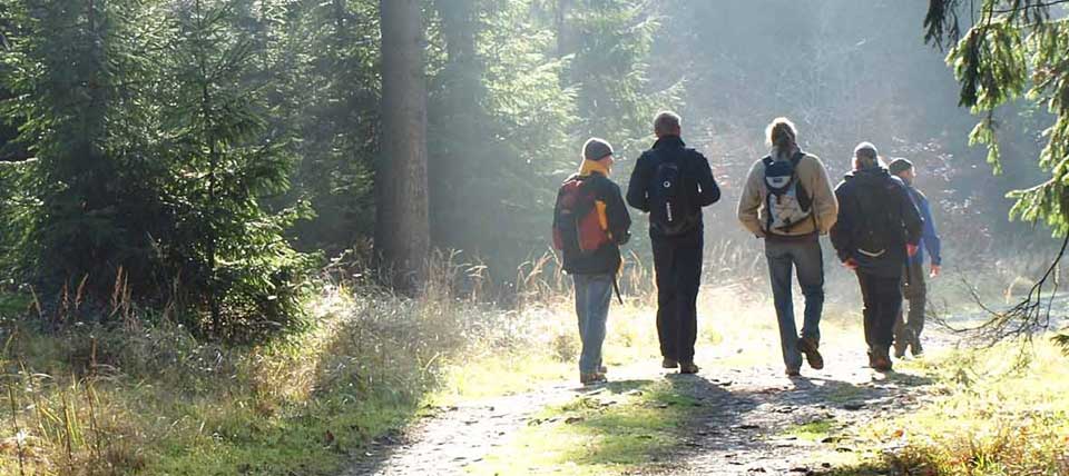 Wanderer im Teutoburger Wald © Dirk Tornede